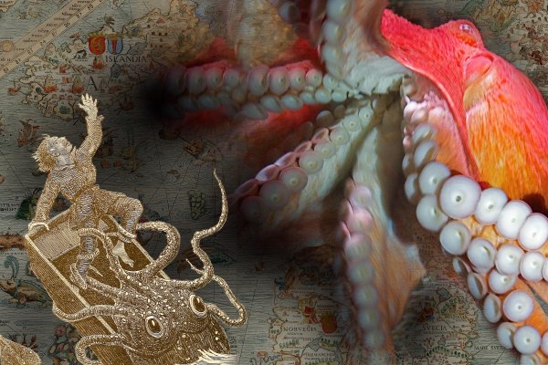 Kraken это - проверенный вариант